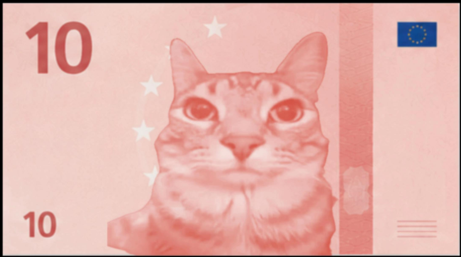 10 Meowro banknote — The Staredown
