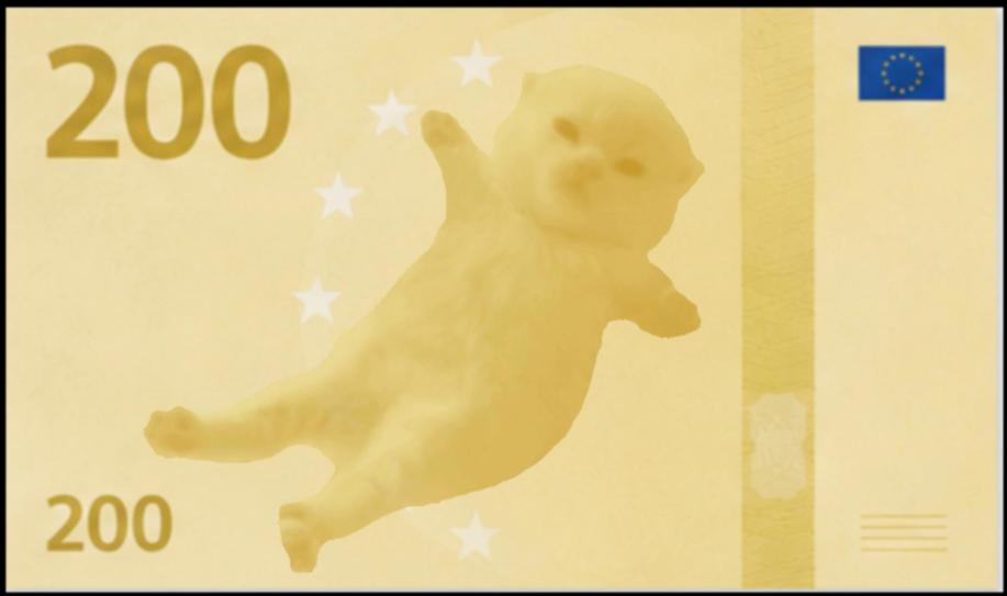200 Meowro banknote — The Zoom