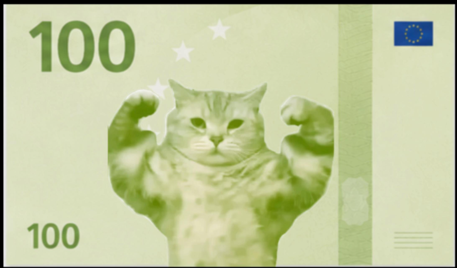 100 Meowro banknote