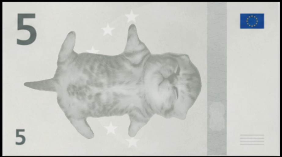 5 Meowro banknote — The Loafer